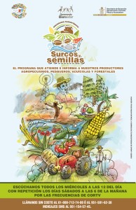 CARTEL SURCOS Y SEMILLAS