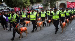 SSP-CANINO (2)