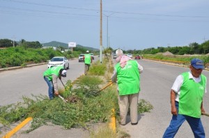 Trabajadores de la Reg de Parques y Jardines desmontando el camellón central