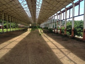 Iniciarán en breve actividades en la antigua Estación del Ferrocarril de Salina Cruz 6