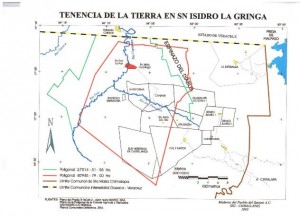 Mapa tenencia la gringa 1994