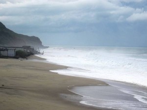 Se roban los señalamientos en las playas del Municipio (3)