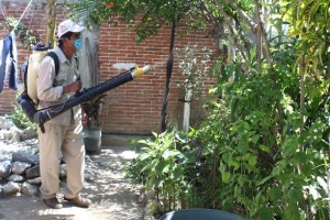 13AGOSTO14-RECOMIENDA SSO PATIOS Y AZOTEAS LIMPIAS PARA EVITAR DENGUE