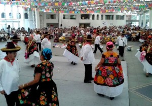 Guelaguetza Adulto Mayor (2)