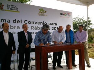 COMISIÓN FORESTAL1