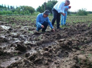 COMISIÓN FORESTAL3