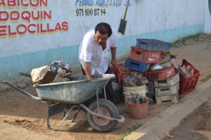 6 nov 2014 ELIMINACION DE CRIADEROS POTENCIALES DEL AEDES AEGYPTI