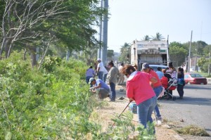 Empleo Temporal beneficia a familias de Salina Cruz, RNVG. (7)