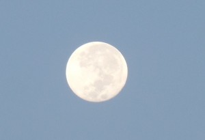 Luna de 6.30