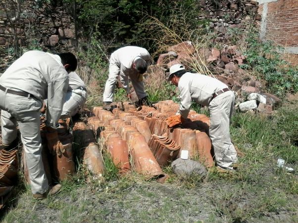 15mayo16-TEMPORADA DE CALOR FAVORECE REPRODUCCIÓN DE ALACRANES- SSO EN  LA MIXTECA