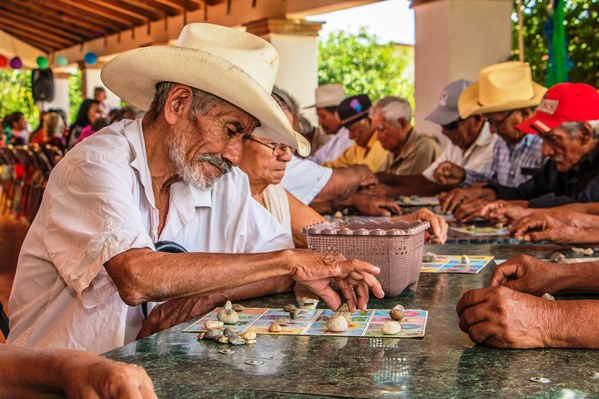 _MG_0366 copia